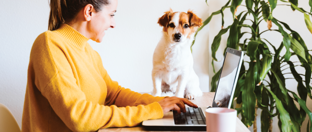 woman on computer with dog on desk