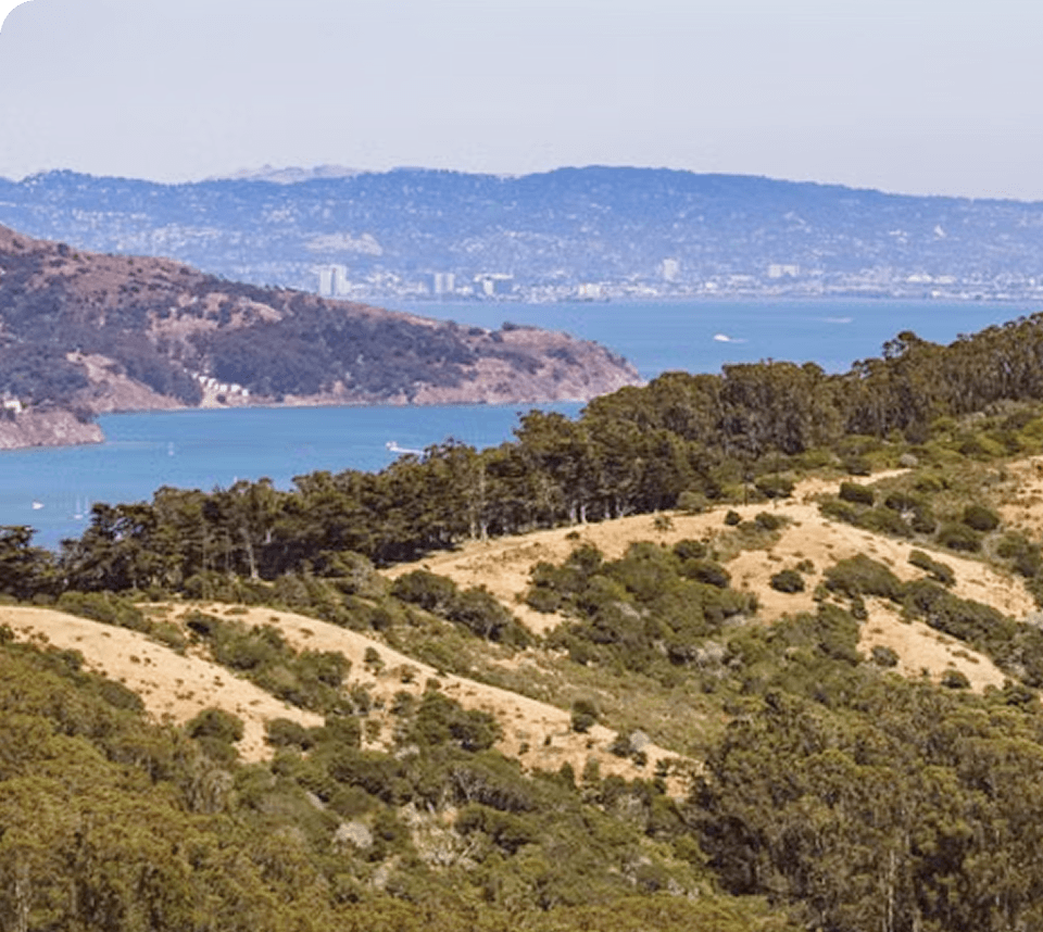 hills and bay